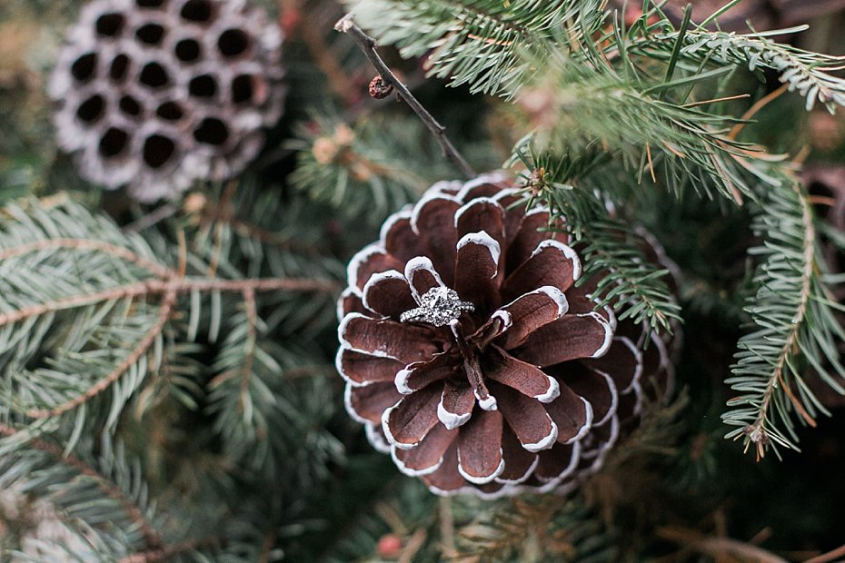 engagement ring on pinecone