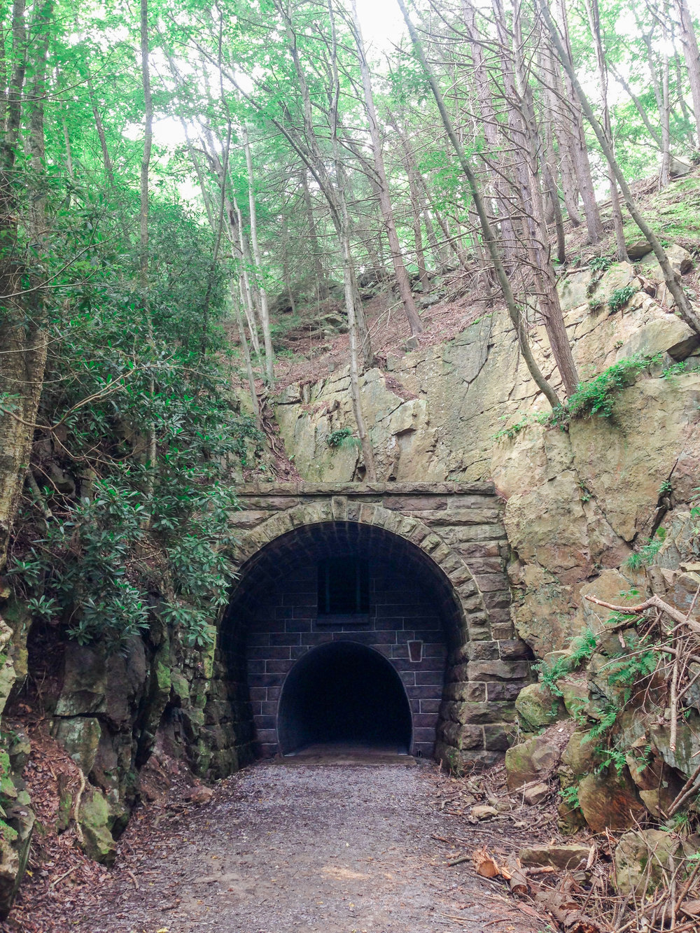  An old rail road tunnel on the Mid State Trail deep in the heart of Central PA 