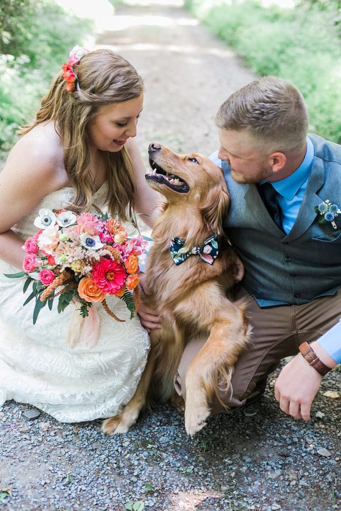 golden retriever wearing bow tie poses with bride and groom at outdoor PA wedding