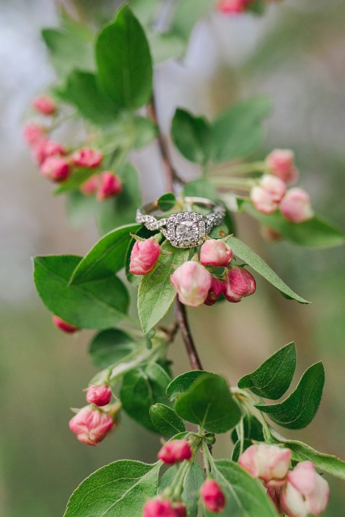 Square cut diamond engagement ring with budding apple blossoms.